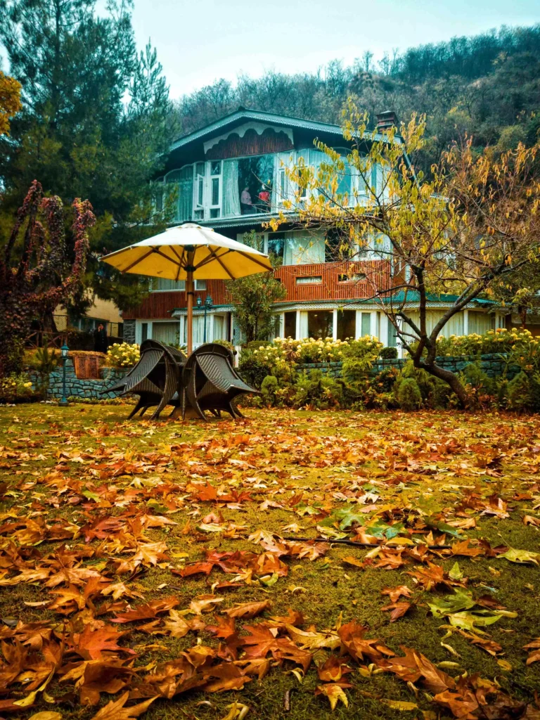 Romantic Kashmir